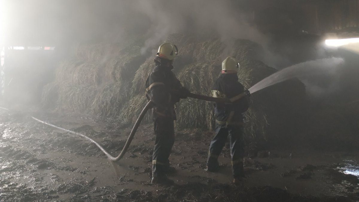 Un depozit de pe teritoriul unei ferme de vite din Cahul, cuprins de flăcări. Pompierii au luptat cu focul patru ore