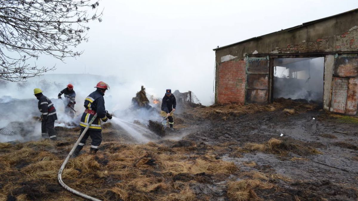 Un incendiu care a izbucnit într-o gospodărie din raionul Leova a luat viața a 35 de oi