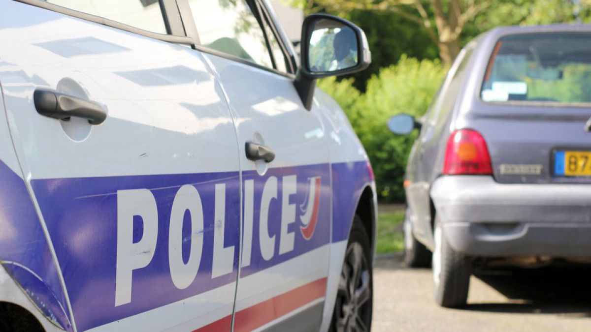 Un moldovean și italian, prinși de poliția franceză cu 50 kg de droguri
