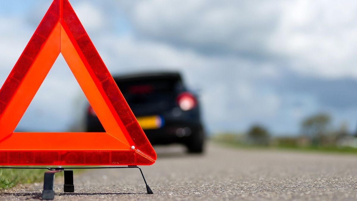 Un șofer a intrat cu mașina într-o turmă de oi. 19 animale au fost accidentate mortal