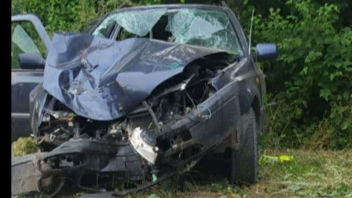 Un șofer de la Edineț a ajuns cu mașina într-un copac. Era băut și ducea pasageri în mod necorespunzător