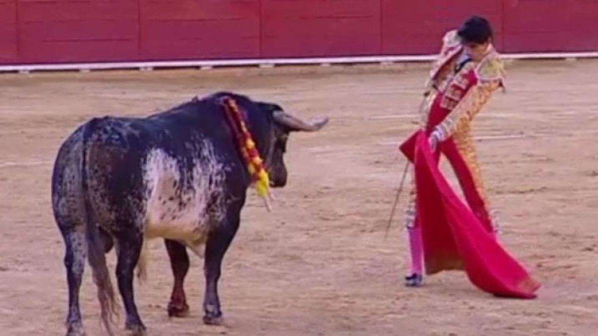 Un toreador spaniol a fost ucis de un taur, prima dată în ultimii 30 de ani