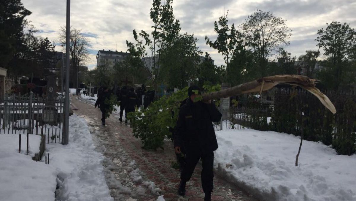 Unde sunt duși toți arborii și crengile doborâte de furtuna din Chișinău și câți oameni muncesc pentru evacuarea lor