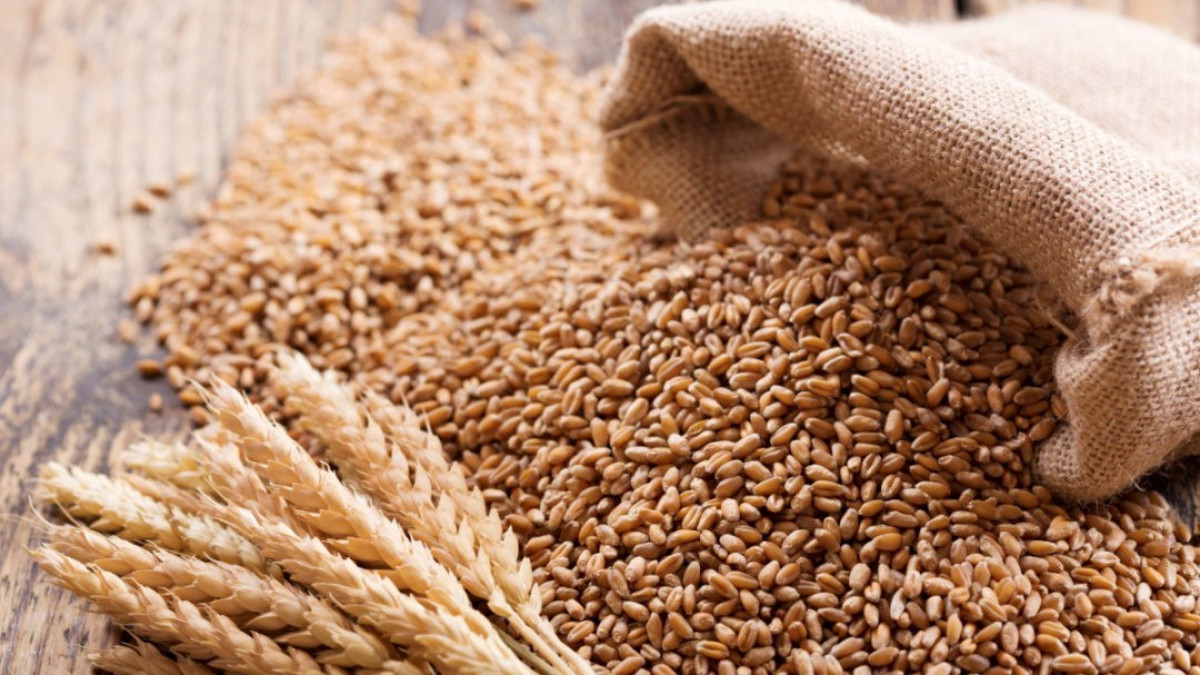 Uniunea Europeană caută soluții pentru continuarea importurilor de cereale din Ucraina. Ar putea fi create coridoare terestre