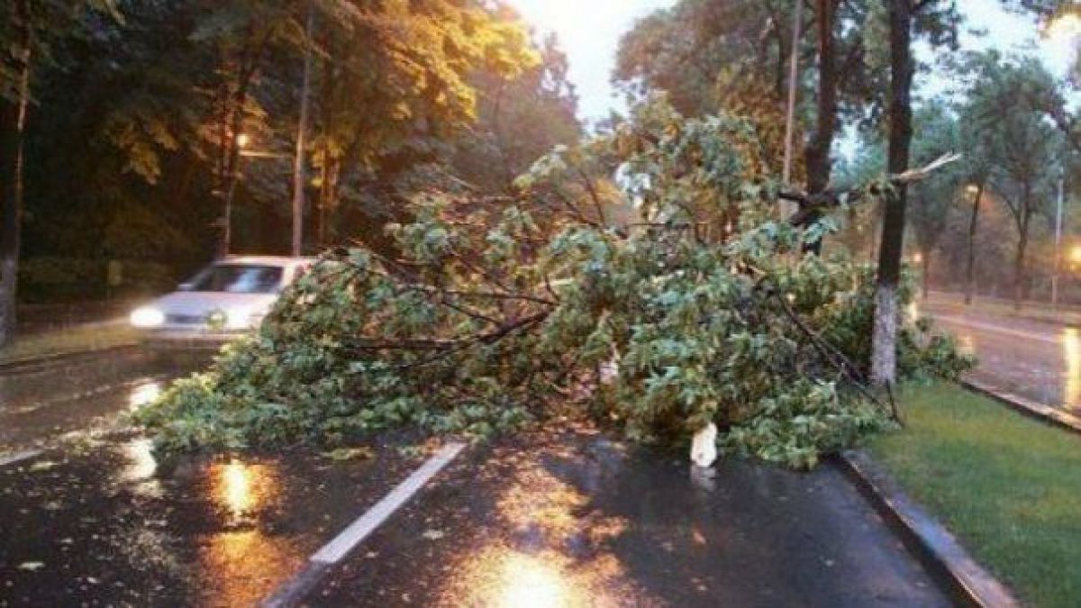 Urmările furtunii de noaptea trecută: Vântul puternic a făcut ravagii în cinci localități din raionul Briceni