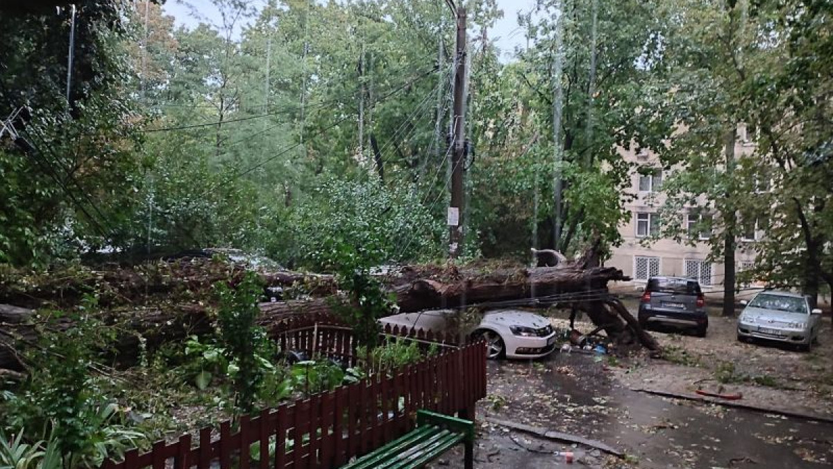 Urmările precipitațiilor abundente: Zeci de copaci doborâți și localități fără curent electric