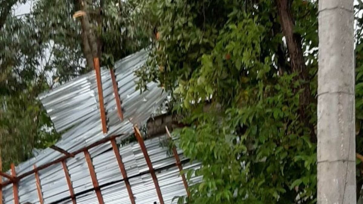 Vântul face ravagii: Copaci doborâți, acoperișuri smulse și conducte de gaze naturale deteriorate (FOTO)