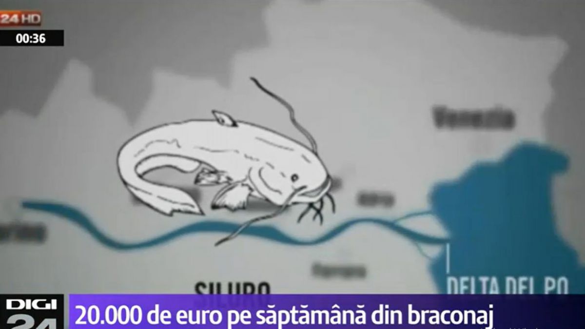 VIDEO. 20.000 de euro pe săptămână din braconaj