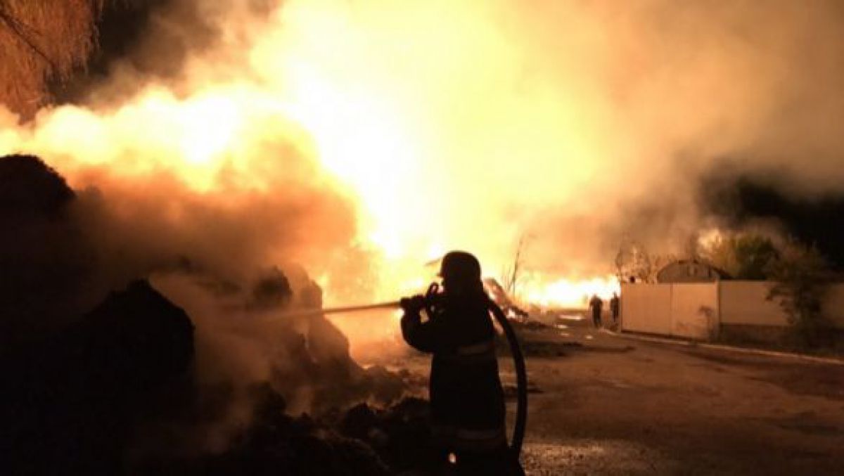 VIDEO. În Ucraina au ars 1,2 mii de tone de cânepă industrială