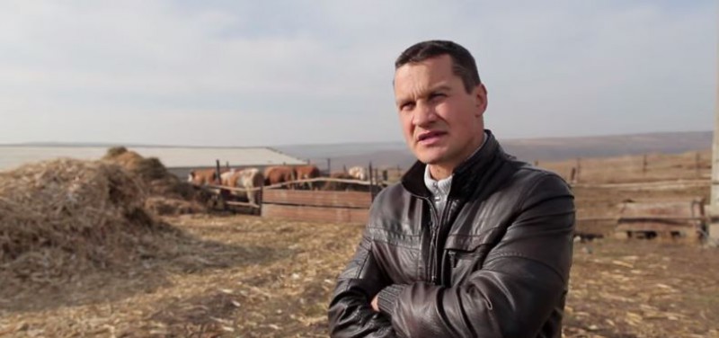 VIDEO. Proprietarul unei ferme de vaci din Moldova: Dacă scăpăm de frică și lene, în doi ani noi înflorim 