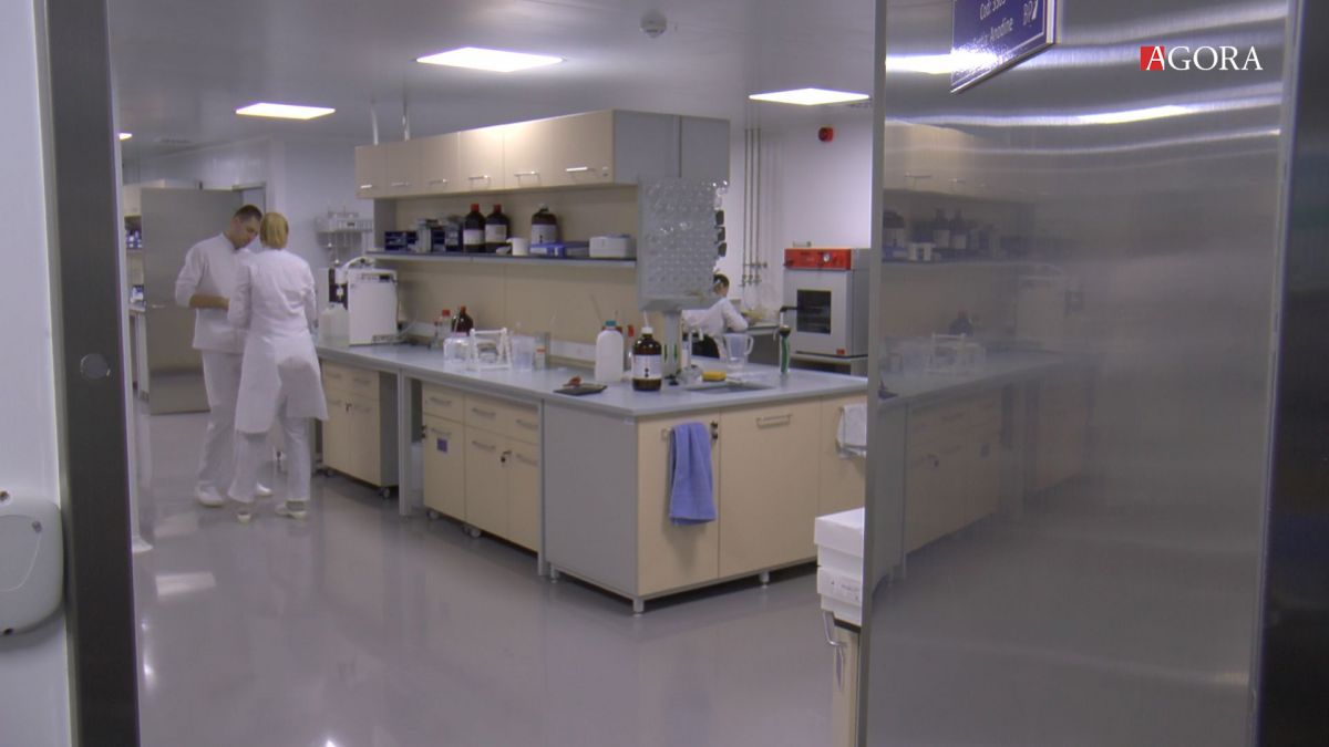 VIDEO. De ce sunt atât de scumpe medicamentele? Interviu cu directorul de distribuție Balkan Pharmaceuticals