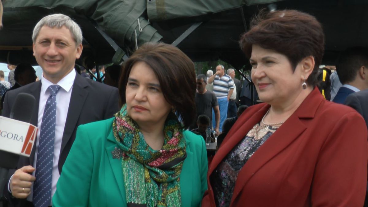 VIDEO. Ce au marcat democrații de 9 mai? Țuțu: Dar dumneavoastră ce sărbătoriți?