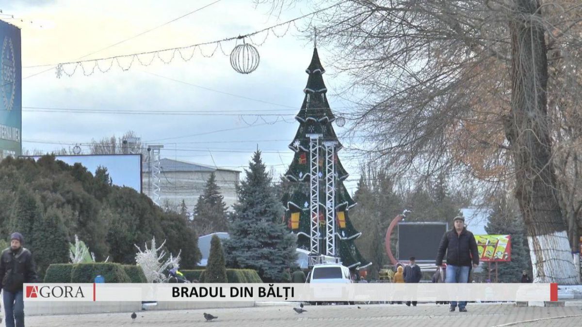 VIDEO. Ce spun bălțenii despre bradul din municipiul lor: E frumos, dar nu chiar