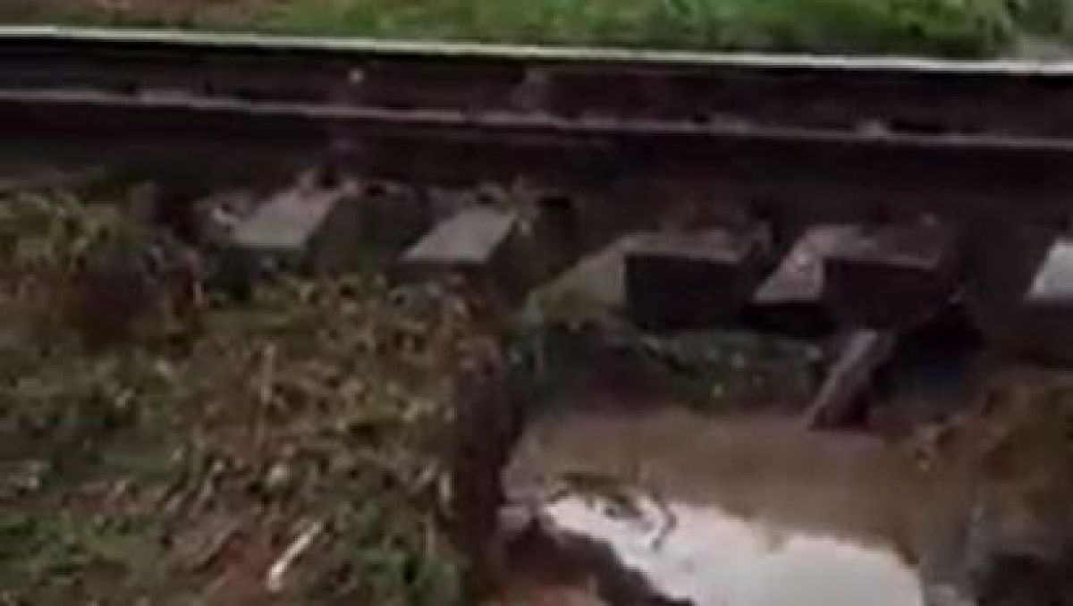 VIDEO. Cum a fost afectate unele linii de cale ferată din cauza precipitațiilor abundente