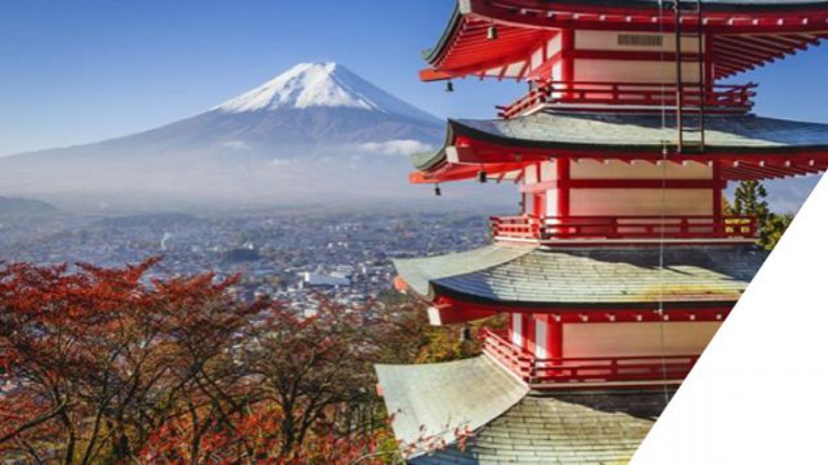 VIDEO. Festivalul Vinului în Japonia. Reprezentanții Ambasadei RM, invitații de onoare la eveniment