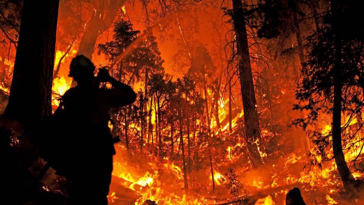 Incendii de vegetație de amploare în California: Mii de persoane, evacuate