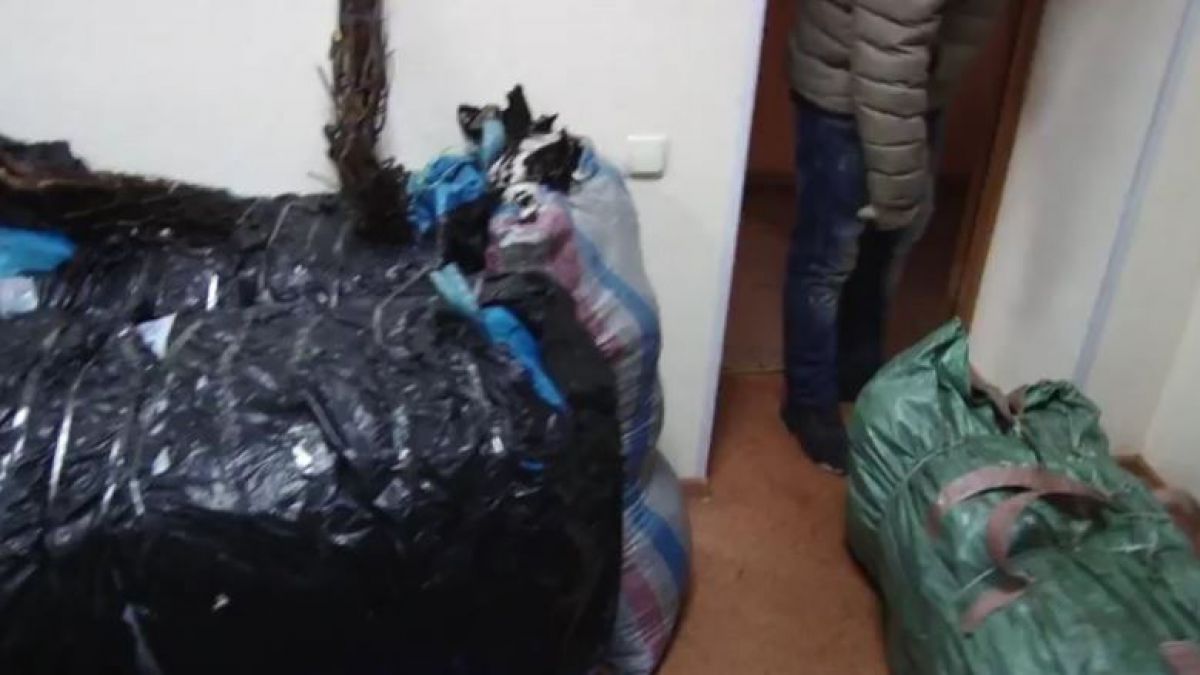 VIDEO. Inspectorii Rosselkhoznadzor au distrus peste 6 mii de butași de trandafiri din R. Moldova