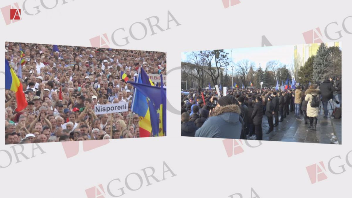 No comment! Proteste puse „în oglindă” sau ce s-a putut vedea pe fețele manifestanților din PMAN vs cei din Scuarul TNOB