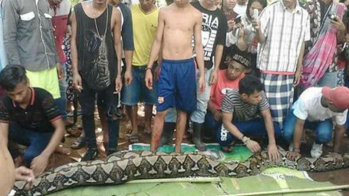 VIDEO. O femeie din Indonezia a fost înghițită de un piton uriaș