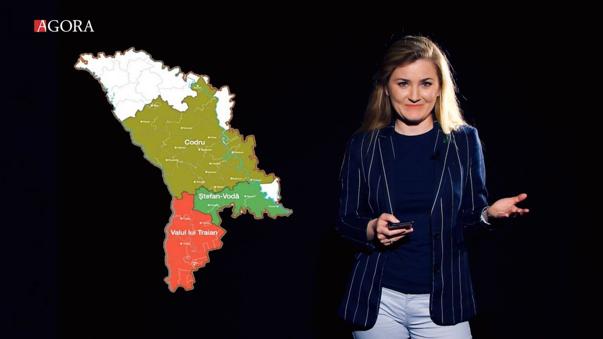 VIDEO. Profa de vin te testează: Câte regiuni vitivinicole sunt în țara noastră și ce știi despre ele