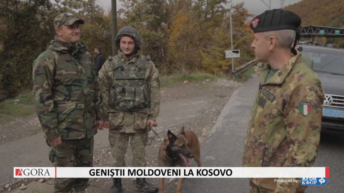 VIDEO: Geniștii moldoveni au identificat două mine M87 şi 10 mecanisme de inițiere a exploziei