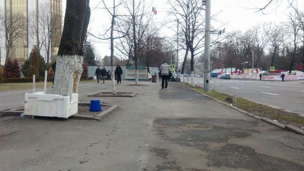 Vine iarna! Partidul Nostru își scoate corturile din fața Ministerului Agriculturii