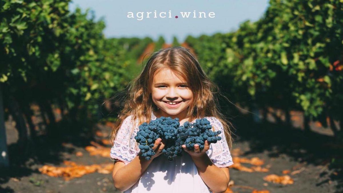 Vinuri bune de la „Agrici Wine” pentru ediția a treia #ROOFOFFLINE