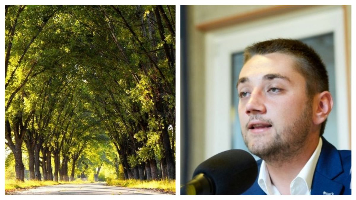 „Vom planta 1000 de copaci în Parcul „La Izvor”. Promisiunea unui candidat la Primăria Chișinău
