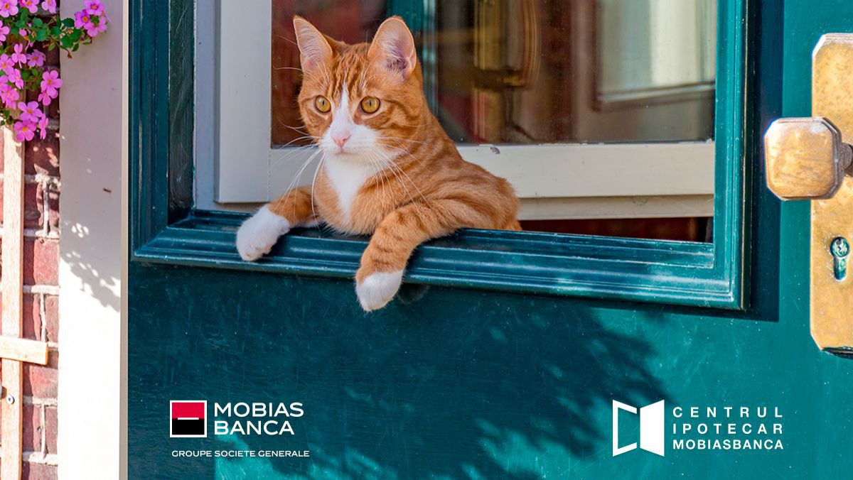 Vrei să te muți în casa ta? Creditul ipotecar de la Mobiasbancă îți transformă visul în realitate