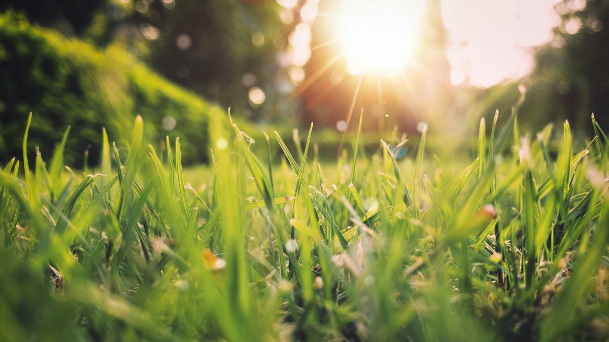 Vreme frumoasă în toată țara. De ce temperaturi vom avea parte în acest weekend