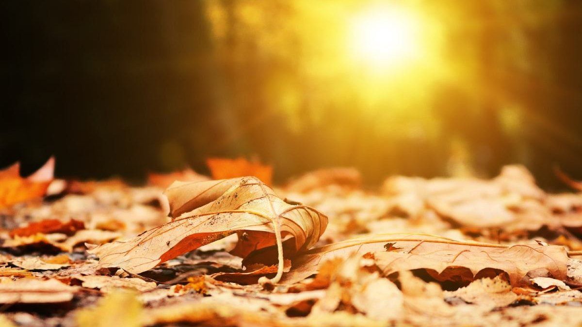 Vremea în următoarele zile: Meteorologii prognozează cer noros și temperaturi de până la +26C pe timp de zi