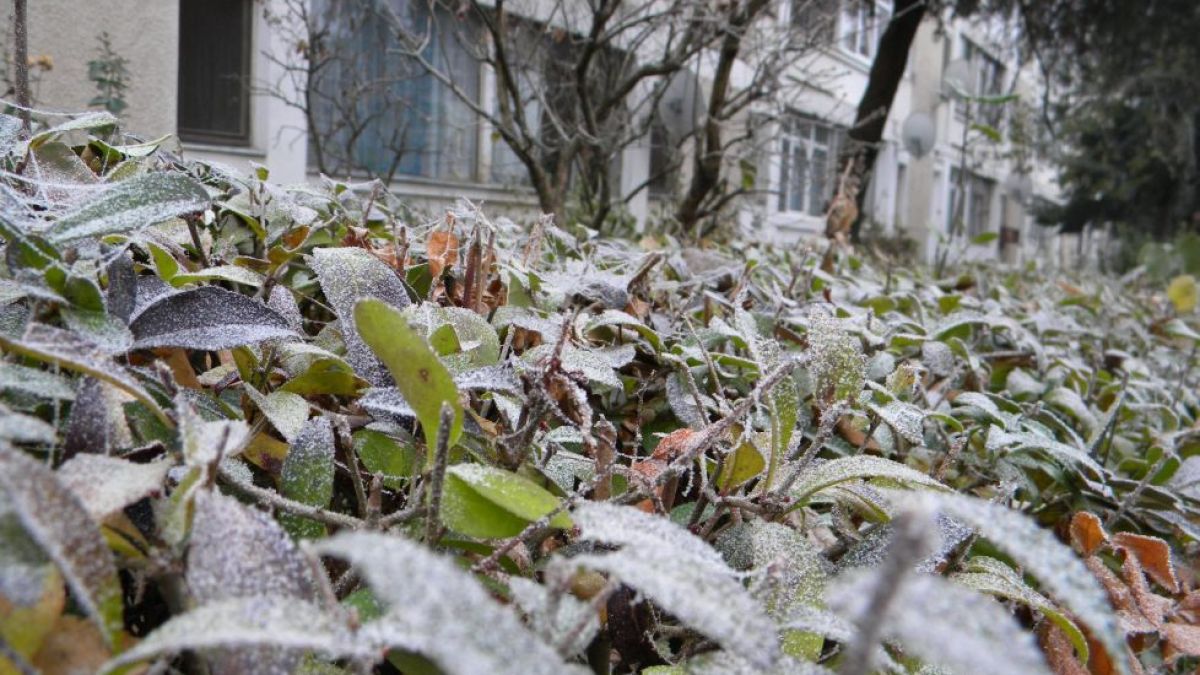 Vremea se răcește. Meteorologii au emis Cod Galben de îngheț