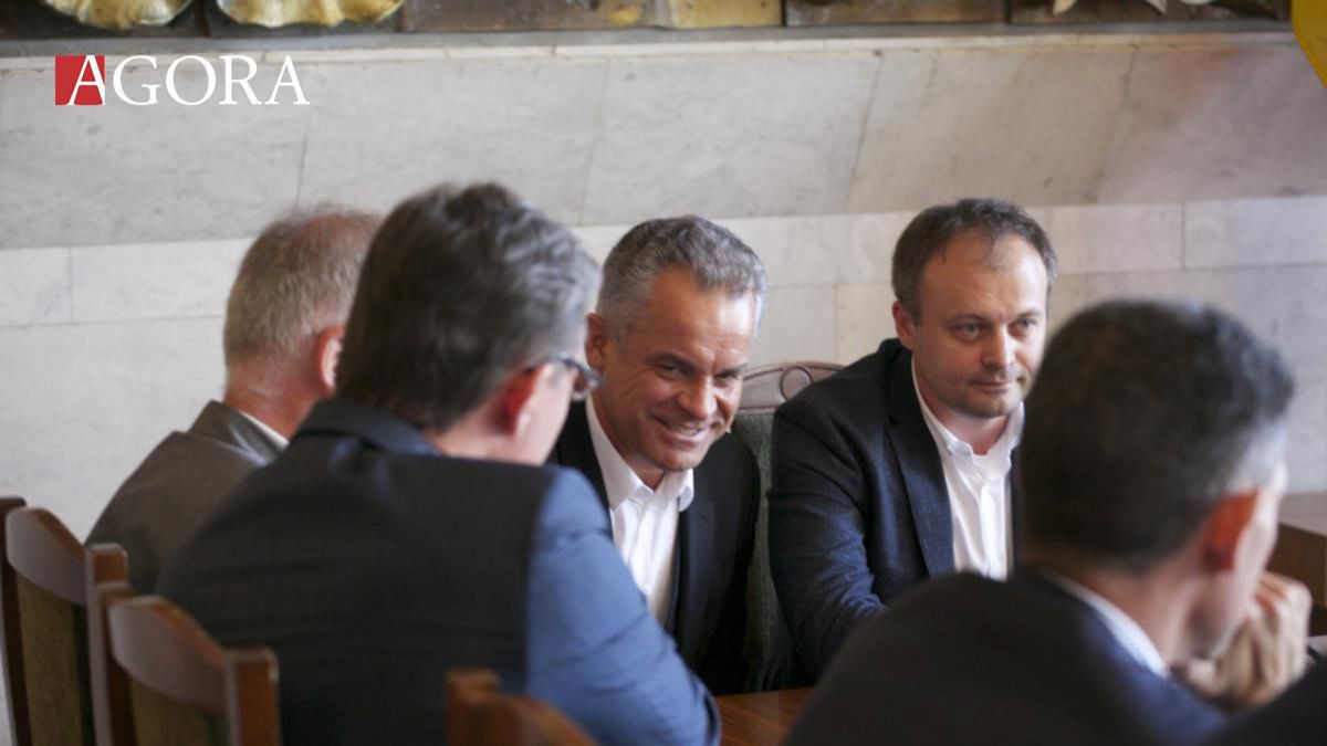 „Vreți candidat? Poftim candidați!”. Cum a propus PD candidatura lui Plahotniuc
