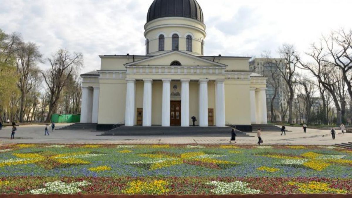 ZdG: 11 lei, prețul unei singure flori din covorul din fața Catedralei. Compania de la care Primăria a comandat opera florală