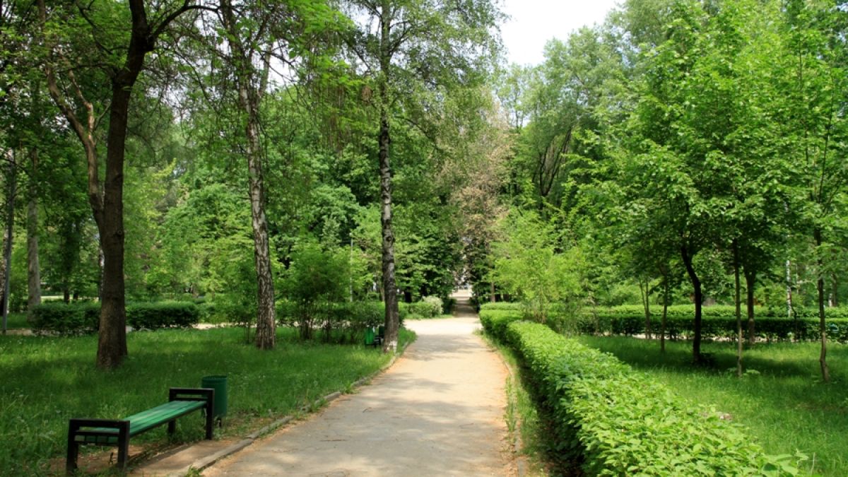 Zona parcurilor, scuarurilor sau altor locuri publice din capitală va fi supravegheată video