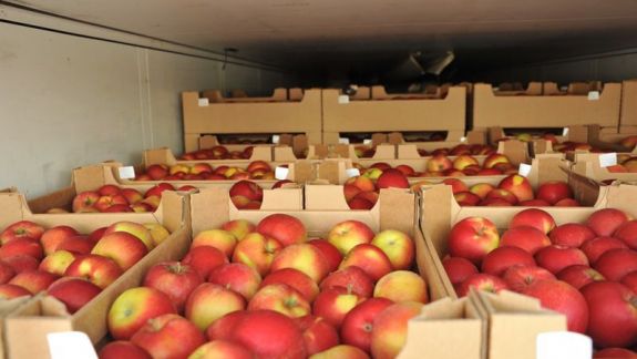 20 de tone de mere și șase tone de pere moldovenești au fost confiscate în Rusia 