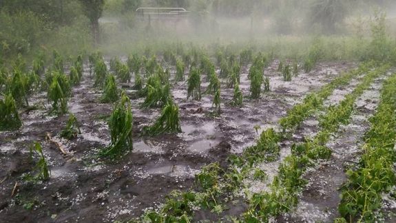 30 de localități au rămas fără electricitate, iar zeci de hectare de culturi agricole au fost distruse de ploile cu grindină de marți