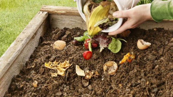 Soluții: Cum compostăm corect deșeurile vegetale din gospodărie (VIDEO)