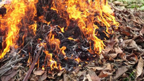 Incendiu de vegetație la Ungheni: Pompierii au luptat aproape cinci ore cu flăcările