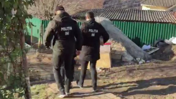 Vindeau marijuana în sere și o transportau în Rusia. Doar un membru al grupării a ajuns pe mâna poliției (VIDEO)