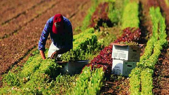 Agricultorii, afectați de calamitățile naturale, își pot primi subvențiile. AIPA a dat start recepționării dosarelor