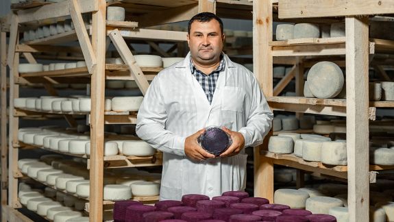 Un producător din Moldova exportă cașcavaluri moldovenești din lapte de oi în Rusia. Cum și-a crescut afacerea