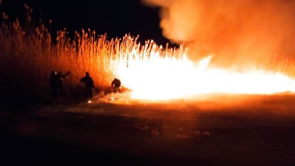 Circa 100 ha de stufăriș au ars noaptea trecută. Pompierii au luptat cu flăcările opt ore (VIDEO)