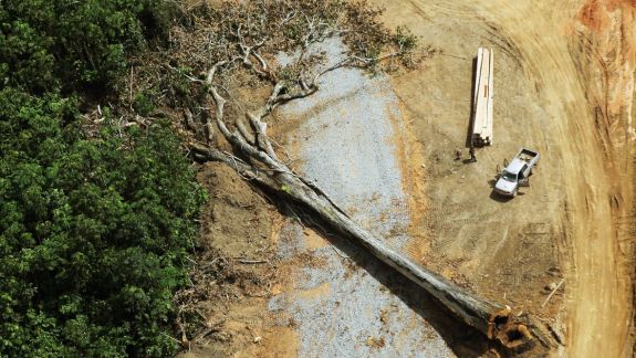 Defrișările și activitățile agricole au distrus aproape 34% din pădurile tropicale: „În anii 2002 și 2019 au dispărut arii mai mari decât teritoriul Franței”