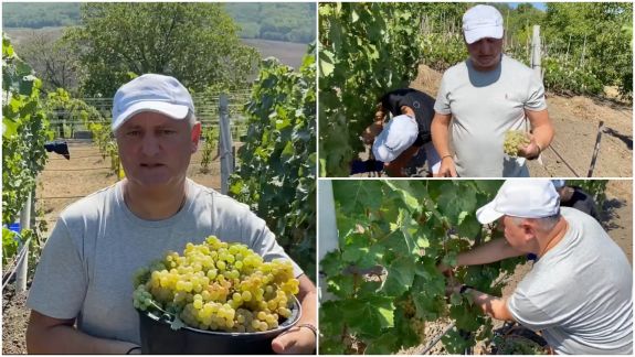 Dodon pregătește vinul cu care vrea să sărbătorească victoria de la prezidențiale: „Și pe Maia Sandu o invit” (VIDEO)