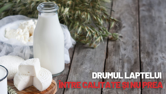 Drumul laptelui - între calitate și nu prea. Cine verifică produsele lactate până ajung pe raft și cum autoritățile își propun să dezvolte subsectorul (LONGREAD)