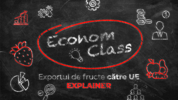 EconomClass | 2# Exportul de fructe către UE. Ce fructe moldovenești trec hotarul și în ce state ajung? (EXPLAINER)