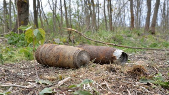 Geniștii au găsit peste 800 de obiecte explozive într-o pădure din Ialoveni (VIDEO)