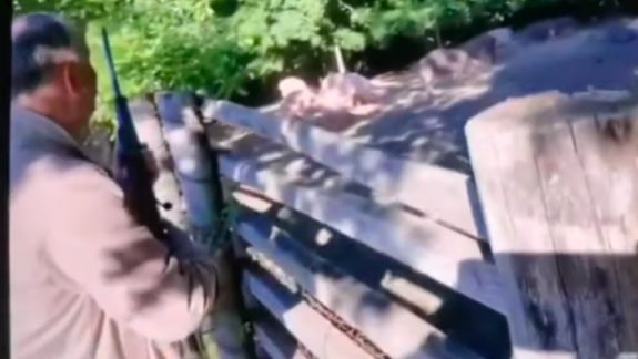 Igor Dodon apare într-un material video împușcând mistreți închiși într-un țarc. Cum explică imaginile (VIDEO)