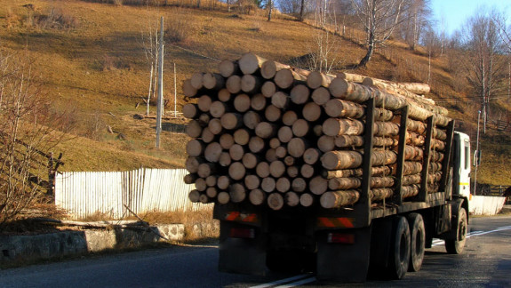 În pregătire de sezonul rece: CSE permite importul de deșeuri pentru încălzire și simplifică procedura de transport al lemnelor